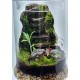 Moss Wall Terrarium Class Saturday, August 2nd at 3:00 PM