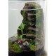 Moss Wall Terrarium Class Saturday, August 2nd at 3:00 PM